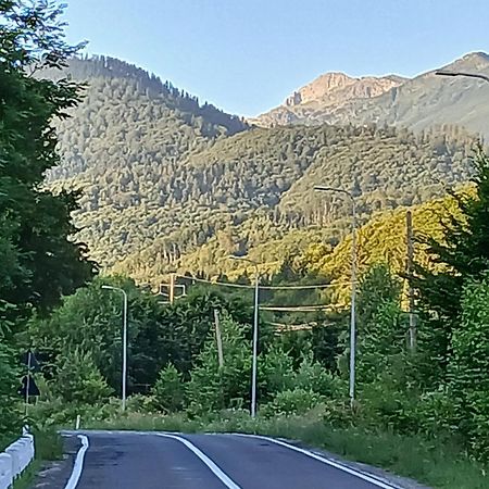 Pensiunea Dates Cîrţişoara Buitenkant foto