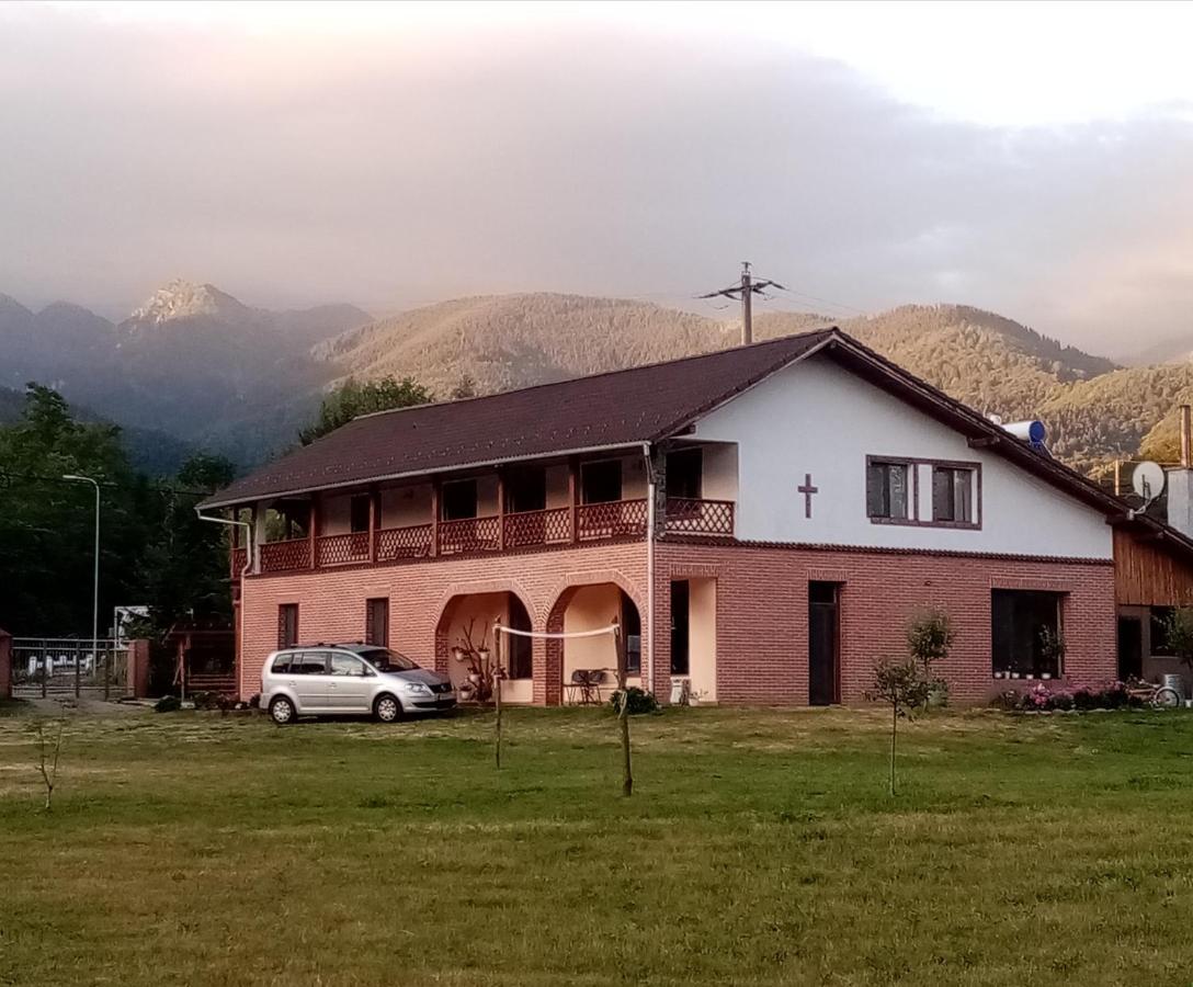 Pensiunea Dates Cîrţişoara Buitenkant foto