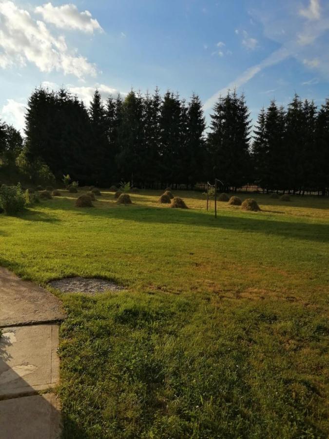 Pensiunea Dates Cîrţişoara Buitenkant foto